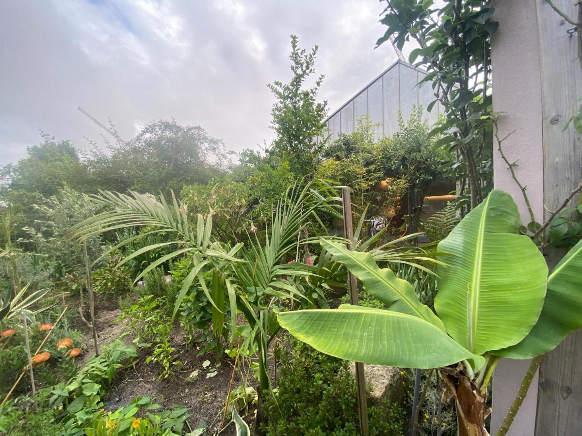 Koko Garden Apartment بورتو المظهر الخارجي الصورة